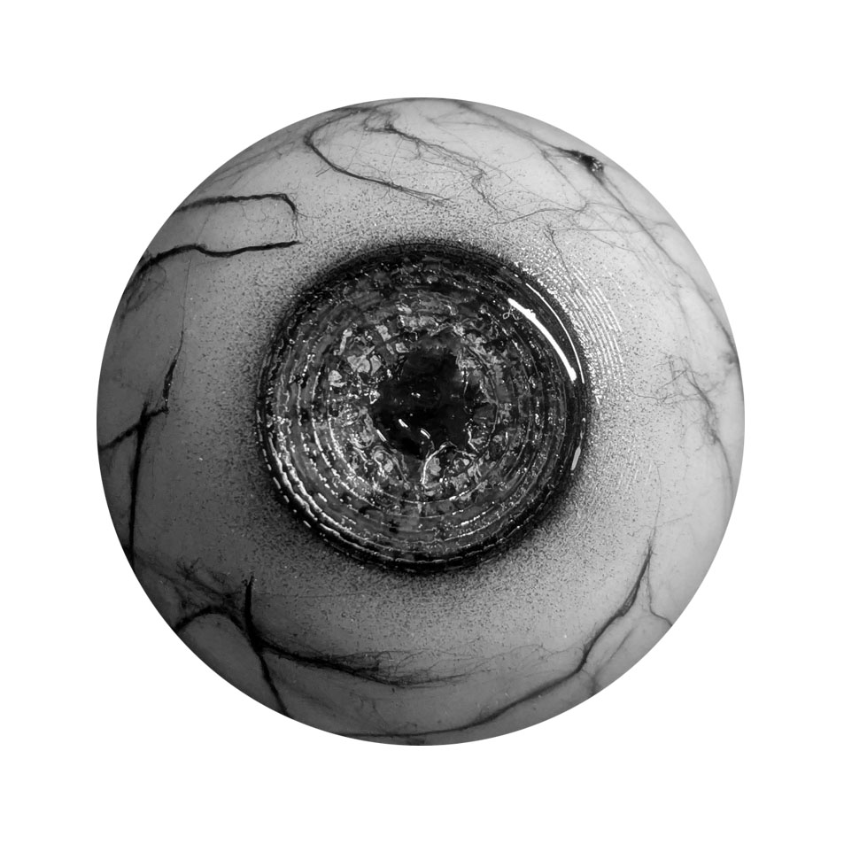 L'Œil de la Révélation, installation interactive avec un œil robotique.